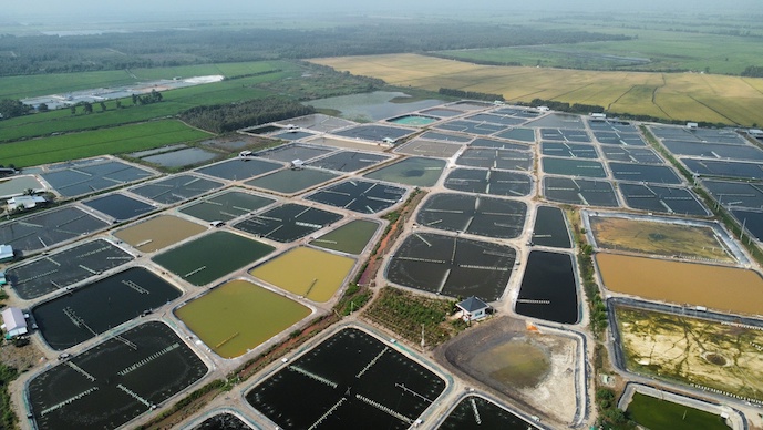 Thực trạng ô nhiễm đất ở Long An đặt vấn đề cho chiến lược phát triển bền vững 4 nong nghiep o nhiem