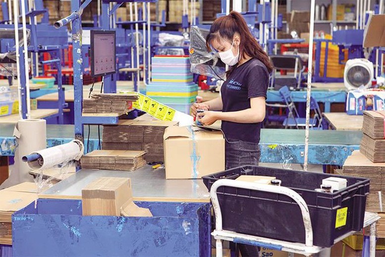 Thị trường 25 tỷ USD và bài toán nhân lực cho thương mại điện tử Việt Nam 3 thuong mai dien tu khat nhan luc