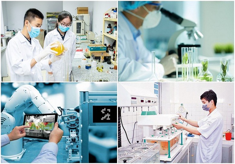 Hướng dẫn sắp xếp, tổ chức lại các đơn vị sự nghiệp công lập lĩnh vực KH&CN 2 huong dan sap xep to chuc lai cac don vi su nghiep cong lap linh vuc khcn
