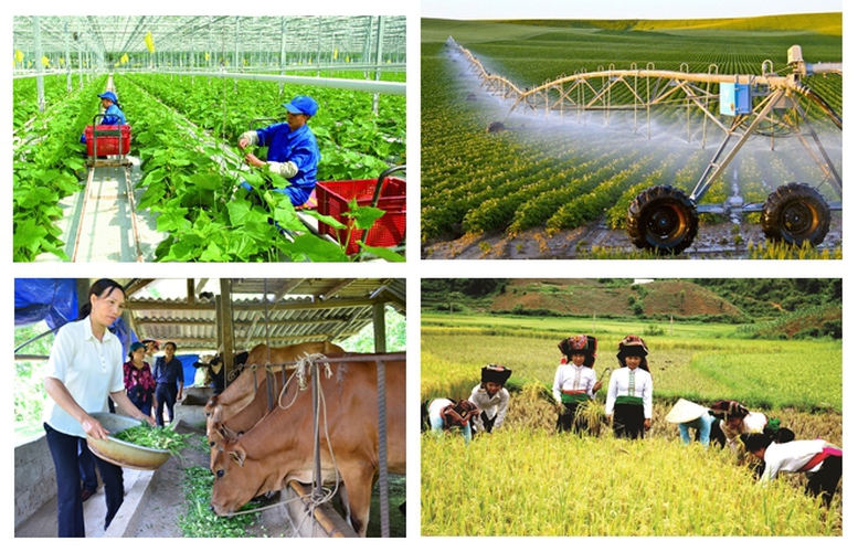 Kiện toàn Ban Chỉ đạo Tổng điều tra nông thôn, nông nghiệp năm 2025 trung ương 2 kien toan ban chi dao tong dieu tra nong thon nong nghiep nam 2025