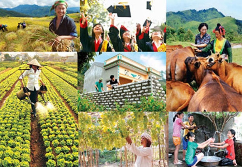 Quy chế hoạt động BCĐ Trung ương các chương trình mục tiêu quốc gia 2 quy che hoat dong bcd trung uong cac chuong trinh muc tieu quoc gia