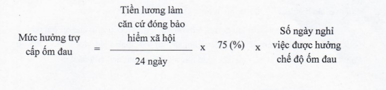 Quy định mới nhất về bảo hiểm xã hội bắt buộc 5 quy dinh moi nhat ve bao hiem xa hoi bat buoc 1